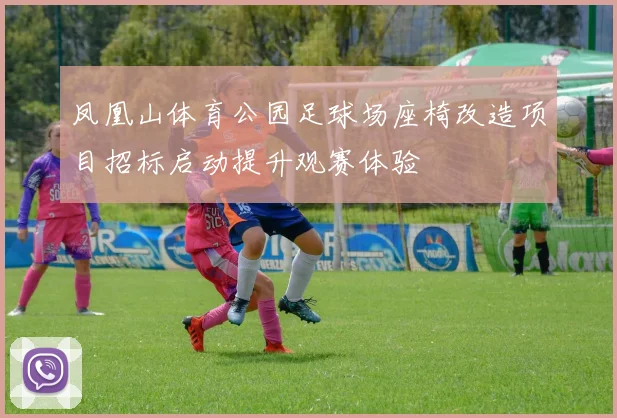 凤凰山体育公园足球场座椅改造项目招标启动提升观赛体验